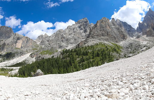 scree of white stones in the valley in the mountains in summer