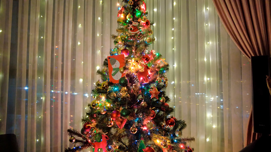 Merry Christmas!, Christmas Tree, Happy New Year