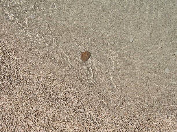 Pietra bianca piccola spiaggia-Sardinia - foto stock