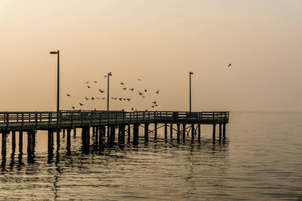 istock Pier And Smoky Sky 5 1442776090