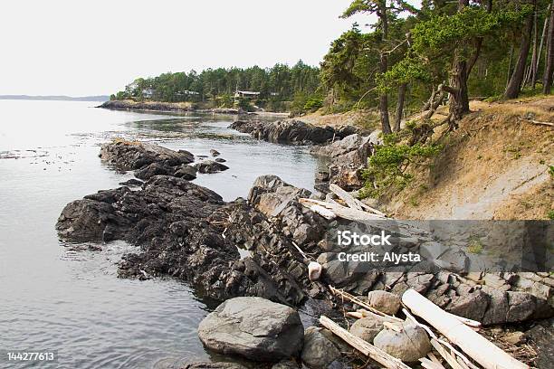 Photo libre de droit de Requins De Récif banque d'images et plus d'images libres de droit de Al Lopez - Al Lopez, Arbre, Eau