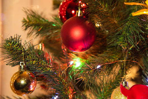 Merry Christmas!, Christmas Tree, Happy New Year