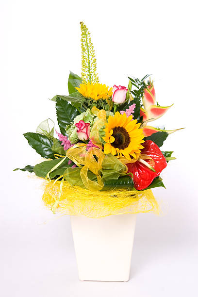 Flowerpot full of variety colorful flowers 