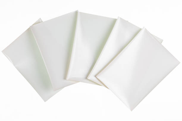 istock vintage photography on white background 1442778618