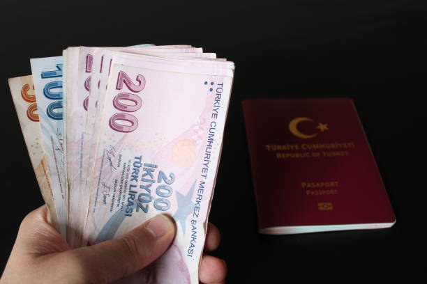 турецкие банкноты и турецкий паспорт. финансовые и международные. - coin bank color image people photography стоковые фото и изображения
