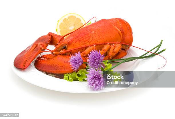 Lobster Chives Stock Photo - Download Image Now - Animal Antenna, Animal Shell, Bristle - Animal Part