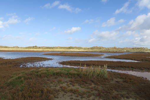 This lake on the North Sea island Baltrum is near the hiking path from the village to the Eastern beach.