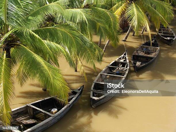 Foto de Sul Da Índia e mais fotos de stock de Chuva - Chuva, Chuva Torrencial, Coqueiro