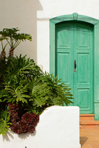 istock Plants infront of entrance 1442784130