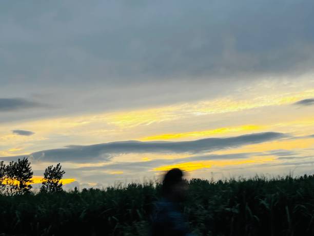 istock Grey shades of cloud 1442786473