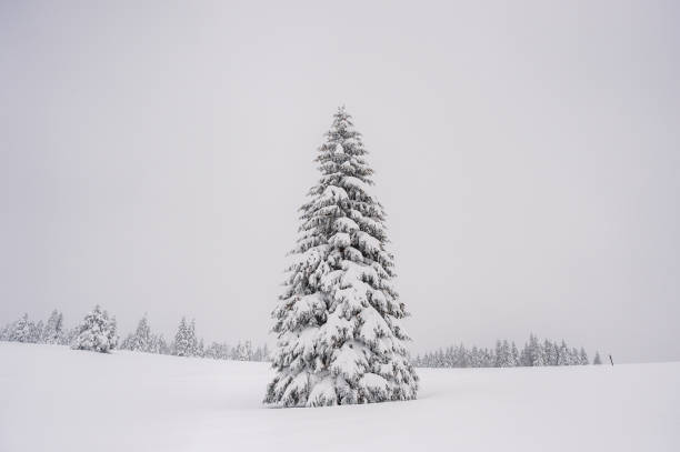 istock Snowing On A Christmas Day 1442787528