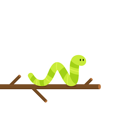 Green worm vector. Worm cartoon vector. free space for text. Green worm on the leaf.