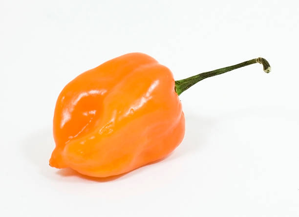 Scotch Bonnet, actually a Caribbean pepper, in Borough Market, London