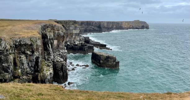 istock Pembrokeshire Coastline 1442791135