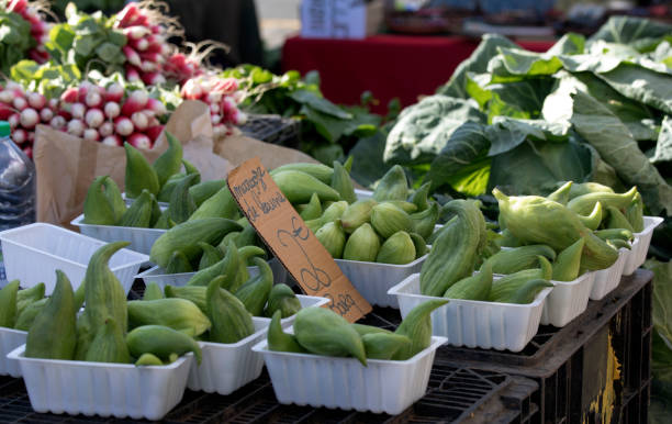 istock View of vegetable at market 1442791899