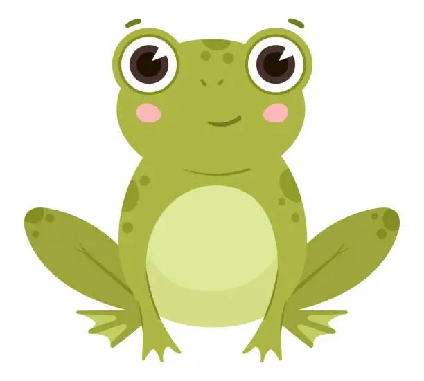 Vector illustration of Cartoon frog, cute water animals, green amphibia. Funny froggy, sitting froglet flat vector illustration on white background