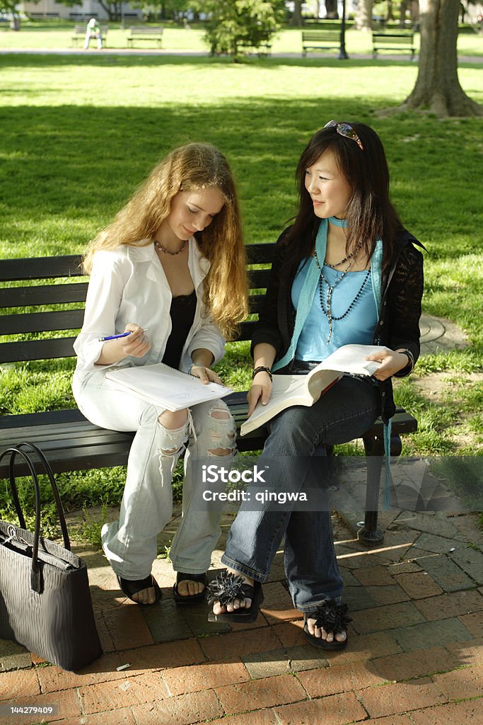 テストの準備 2 つの若い女性が公園のベンチ調査する - 16歳から17歳のロイヤリティフリーストックフォト