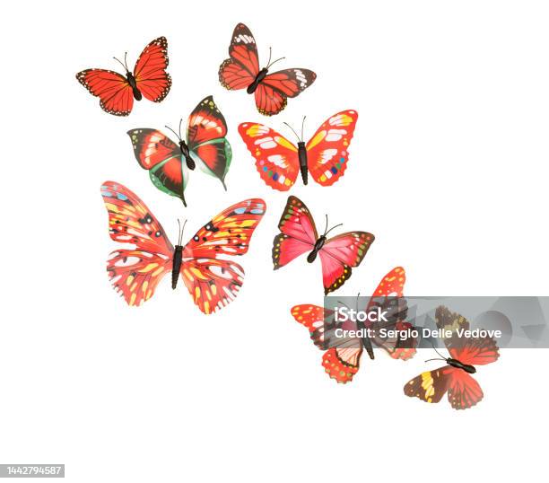 Fake Butterflies Decoration Stock Photo - Download Image Now - Abstract,  Art, Art Product - iStock