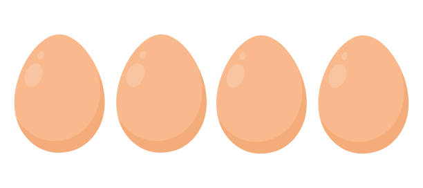 Set of eggs in a flat style. Vector illustration in a flat style. Set of eggs in a flat style. Vector illustration in a flat style omelette on the plate stock illustrations