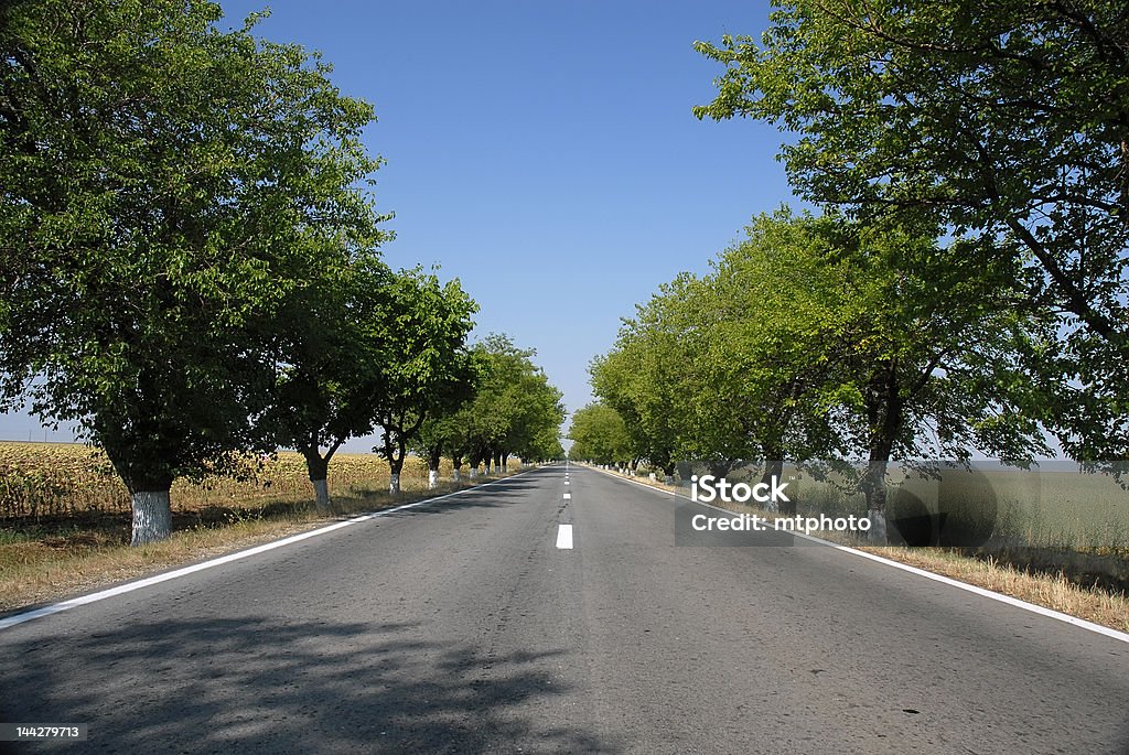 Route vide avec un ciel bleu et les arbres - Photo de Activité physique libre de droits
