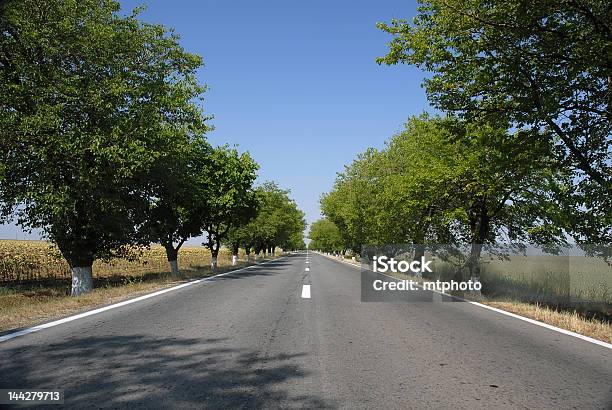 Photo libre de droit de Route Vide Avec Un Ciel Bleu Et Les Arbres banque d'images et plus d'images libres de droit de Activité physique - Activité physique, Admirer le paysage, Arbre