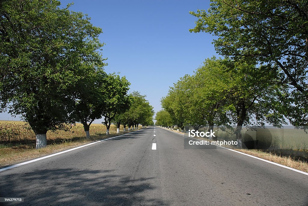 Estrada vazia com céu azul de Árvores de - Royalty-free Acessibilidade Foto de stock