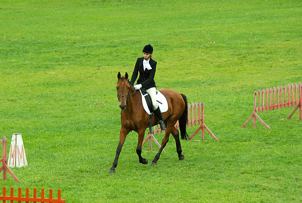 istock Horse dressage 144279944