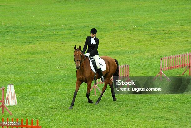 Foto de Cavalo Adestramento e mais fotos de stock de Adestramento - Adestramento, Adulto, Animal