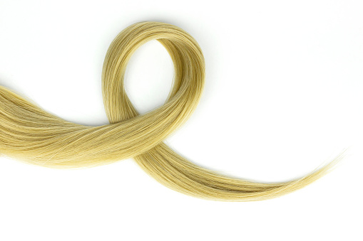 Strand of blond hair on white. Curls of hair. Piece of blonde hair on white background