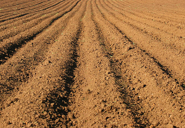Cтоковое фото Ploughed поле