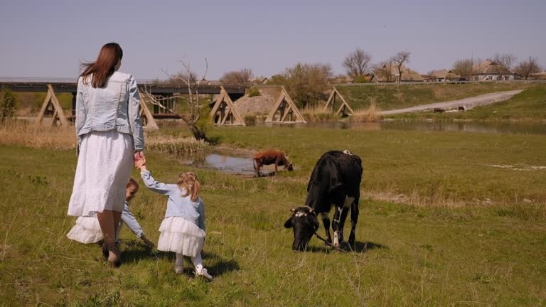 Mother and twin sisters walk in a green meadow near a black and white cow.