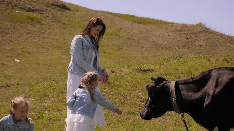 Mother and twin sisters walk in a green meadow near a black and white cow.