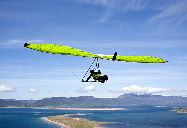 Green glider. stock photo