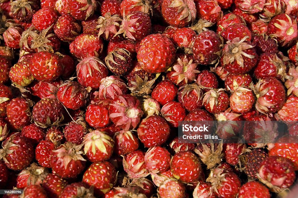 Forêt des fraises - Photo de Aliment libre de droits