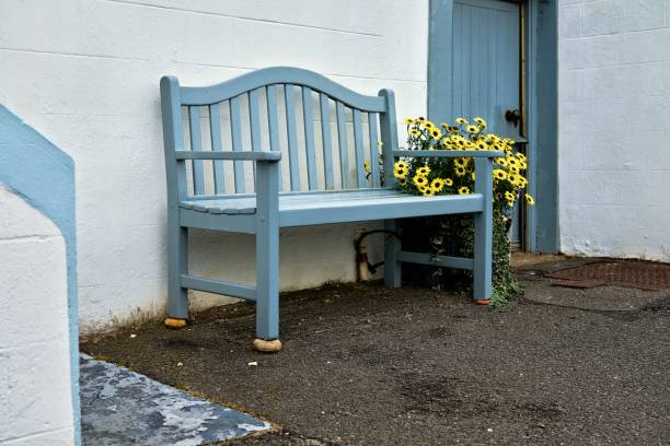 empty blue wooden bench stands on pebbles with yellow flowers on the side - european culture ancient architecture still life imagens e fotografias de stock