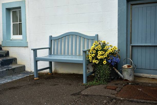 still life of an empty blue wooden bench surrounded by yellow flowers and a watering can - european culture ancient architecture still life imagens e fotografias de stock