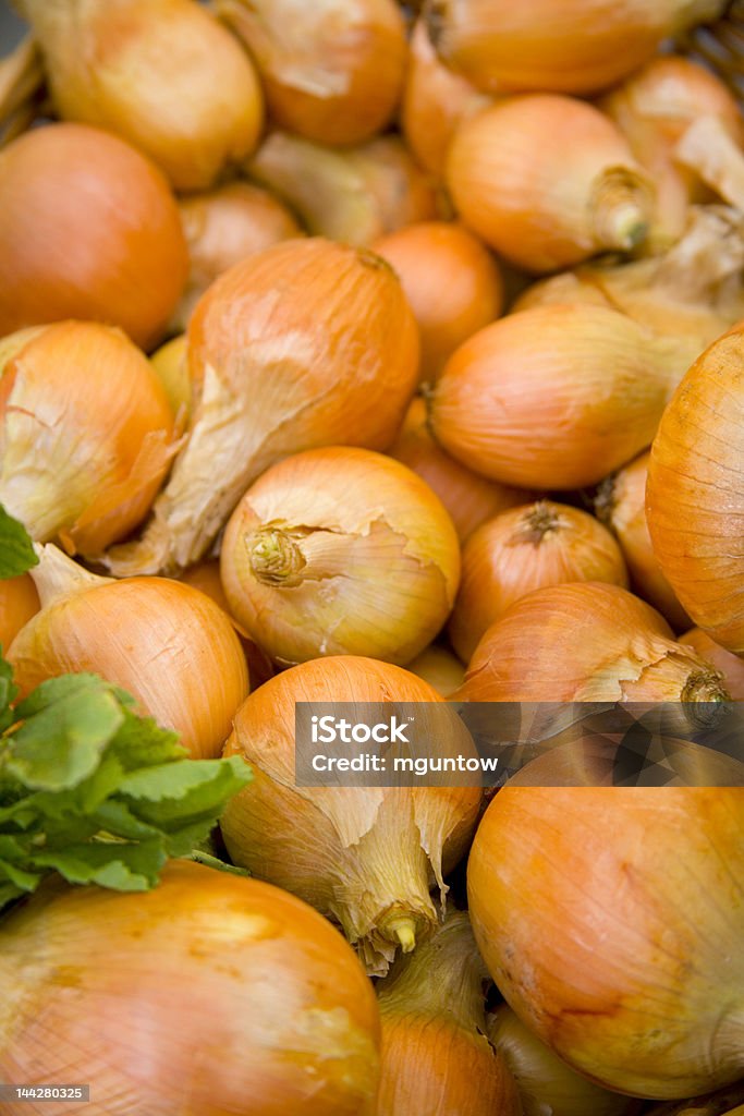 Walla-Walla Onions Bin of Walla Walla Onions at a farmer's market (3639) Animal Body Part Stock Photo