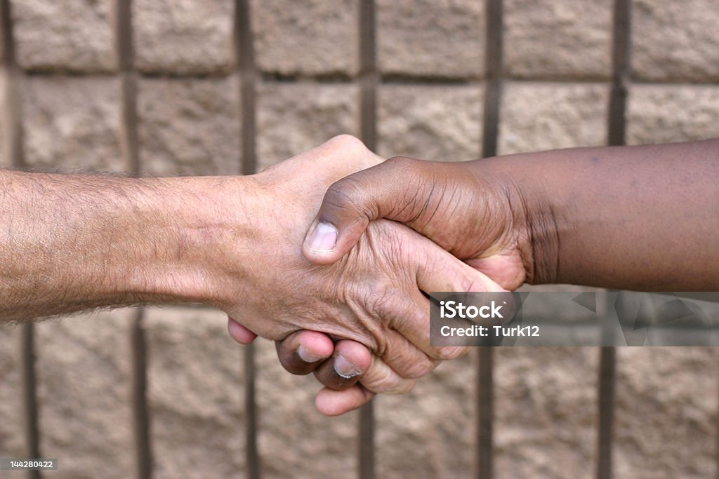 Interracial Hände schütteln - Lizenzfrei Abmachung Stock-Foto