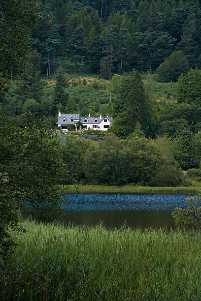 istock Isolated House in Forest with lake 144280489