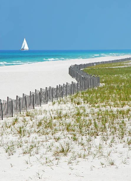 Playa De Pensacola Florida - Banco de fotos e imágenes de stock - iStock Playa De Pensacola Florida - Banco de fotos e imágenes de stock - iStock
