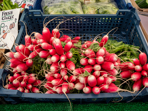 Bunches of radishes for sale in the market in Swaffham, Norfolk, Eastern England.