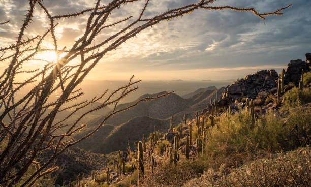 istock Sunset over Scottsdale, AZ from The McDowell Sonoran Preserve 1442808973