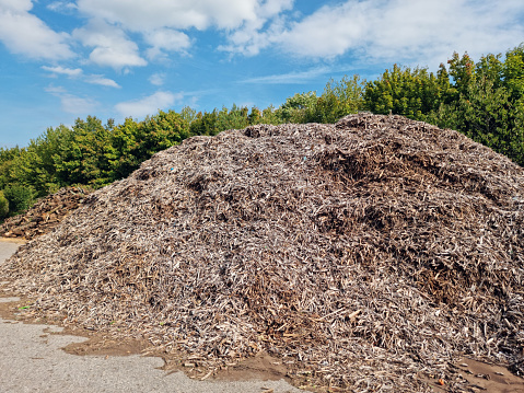 Shredded garden waste.