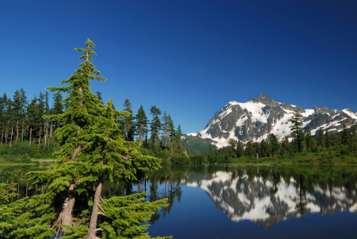 The iconic view of Mount Shuksan and Picture Lake