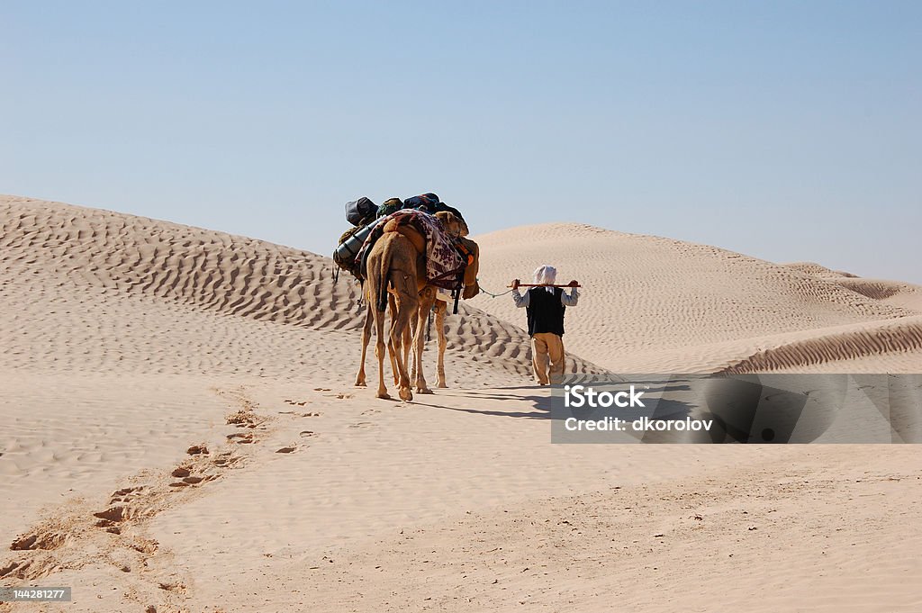 caravan w pustyni Sahara - Zbiór zdjęć royalty-free (Afryka)