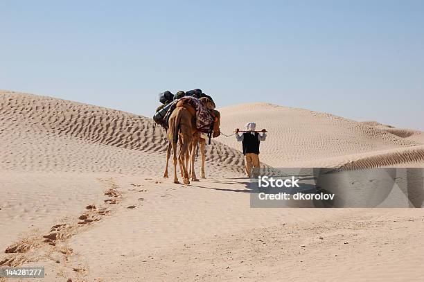 Caravan W Pustyni Sahara - zdjęcia stockowe i więcej obrazów Afryka - Afryka, Beduin, Berberowie