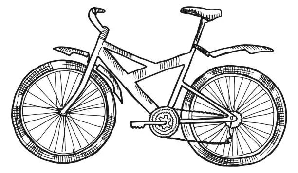 Vector illustration of Bicycle sketch. Riding transport. Urban eco vehicle