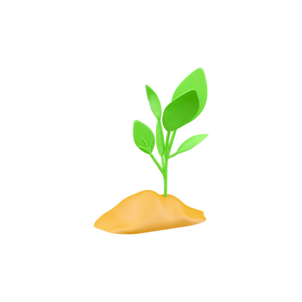 3d render green plant isolated on white background