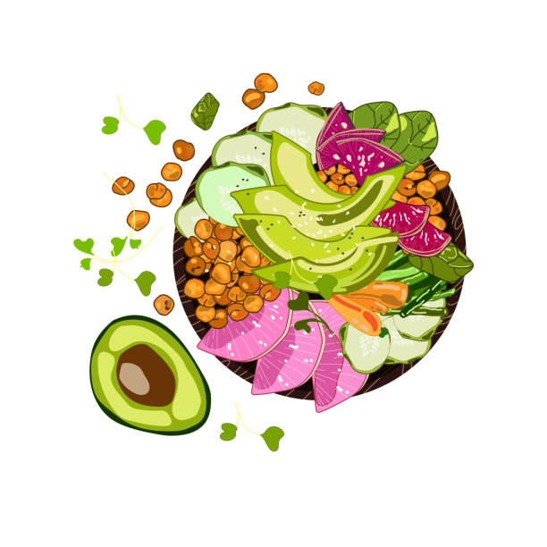 Web Vegan detox Buddha bowl with chickpeas, avocado, radishes, carrots, herbs and sesame seeds drawn in realistic cartoon style on a white background.Vector food illustration top view.Healthy food concept radish art drawing stock illustrations