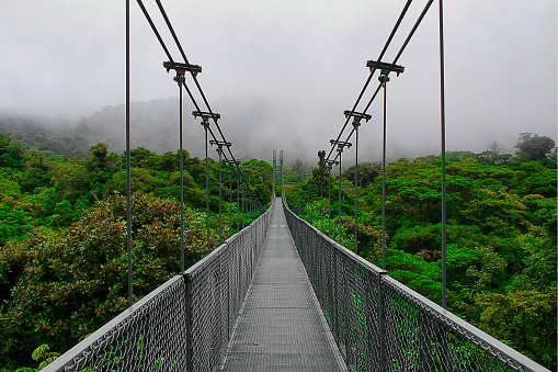 Over the rainforest. Iron suspension bridge in Costa Rica, the Monteverde Cloud Forest leads through the clouds and the fresh green rainforest in lofty heights.